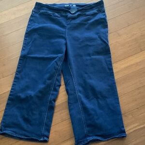 Old Navy Deep Blue Denim Pants